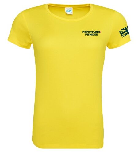 Ladies Performance Wicking Tee - Image 5